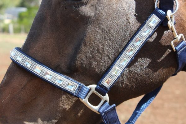 Heads To Tails~ Diamonte Bling Halters- Limited Edition