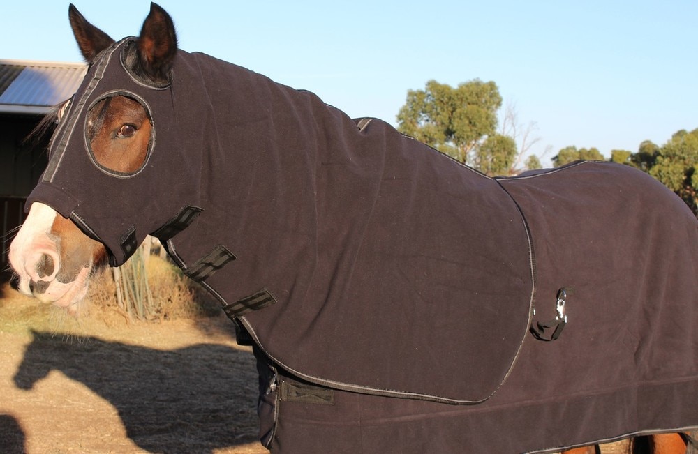 Brown fleece horse hood 