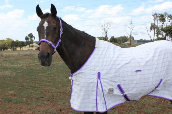 Poly Cotton Diamond Check Rug~Purple WITHOUT Surcingles (belly Straps)