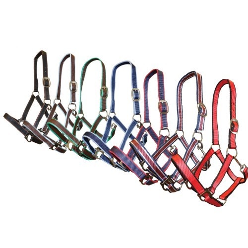 Rancher TwoTone Stable Halter~ Assorted colours