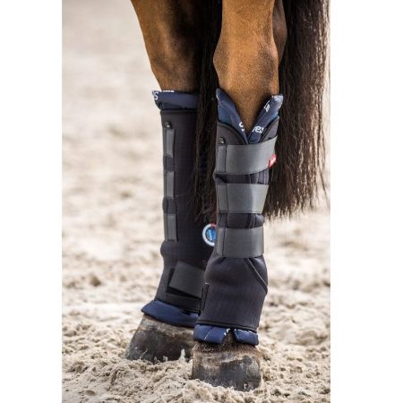 Stable Boots Back Horze