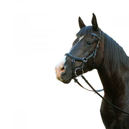 MCALISTER – COMPETITION BRIDLE MICKLEM STYLE