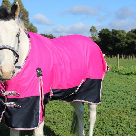 Heads To Tails – Pink/Navy No Fill Rug