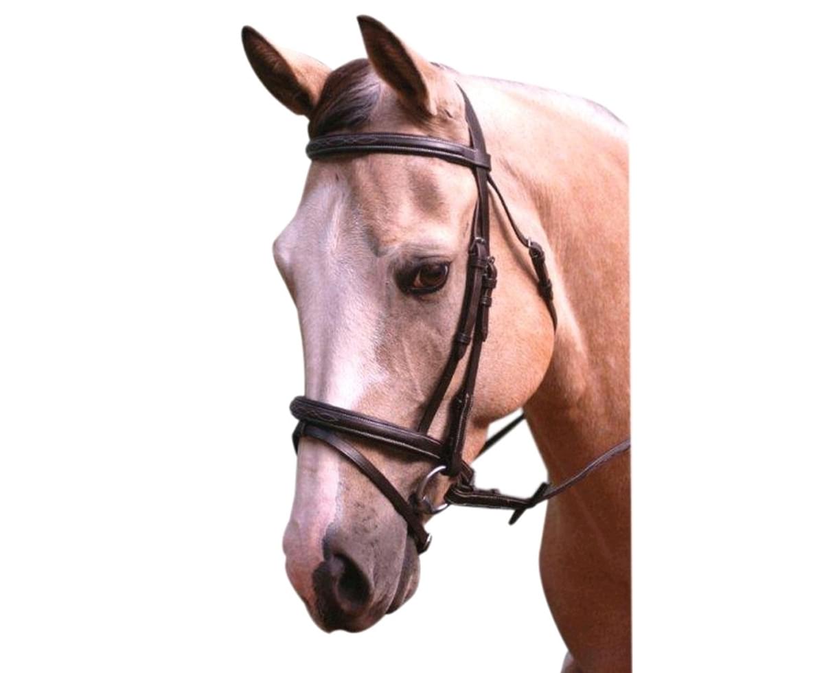 Cassidy Stitched Hnb Bridle-brown-PONY