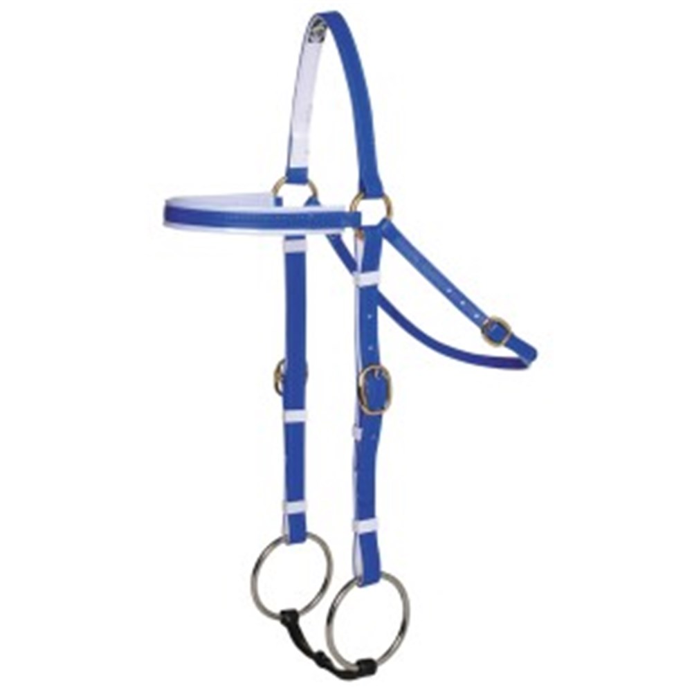 Horse Sense PVC Barcoo Bridle W/ Brass Fittings – Blue