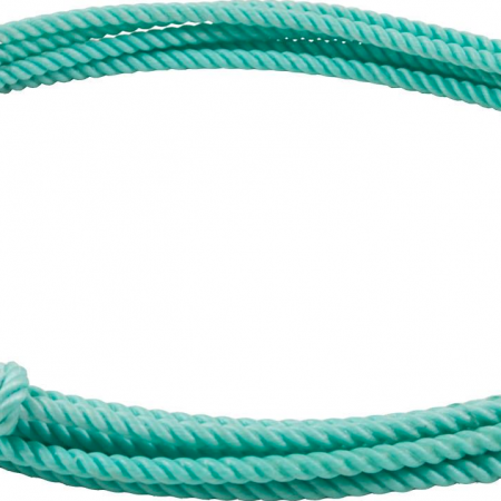 Ezy Ride Little Looper 5/16″ 20′ Kids Rope Turquoise