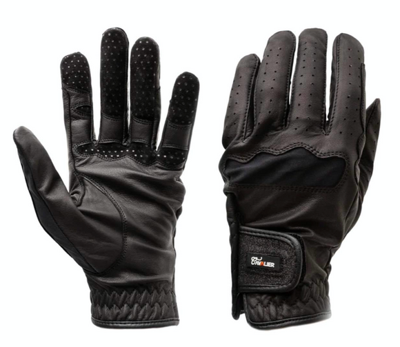 Cavalier Winston Gloves-Black