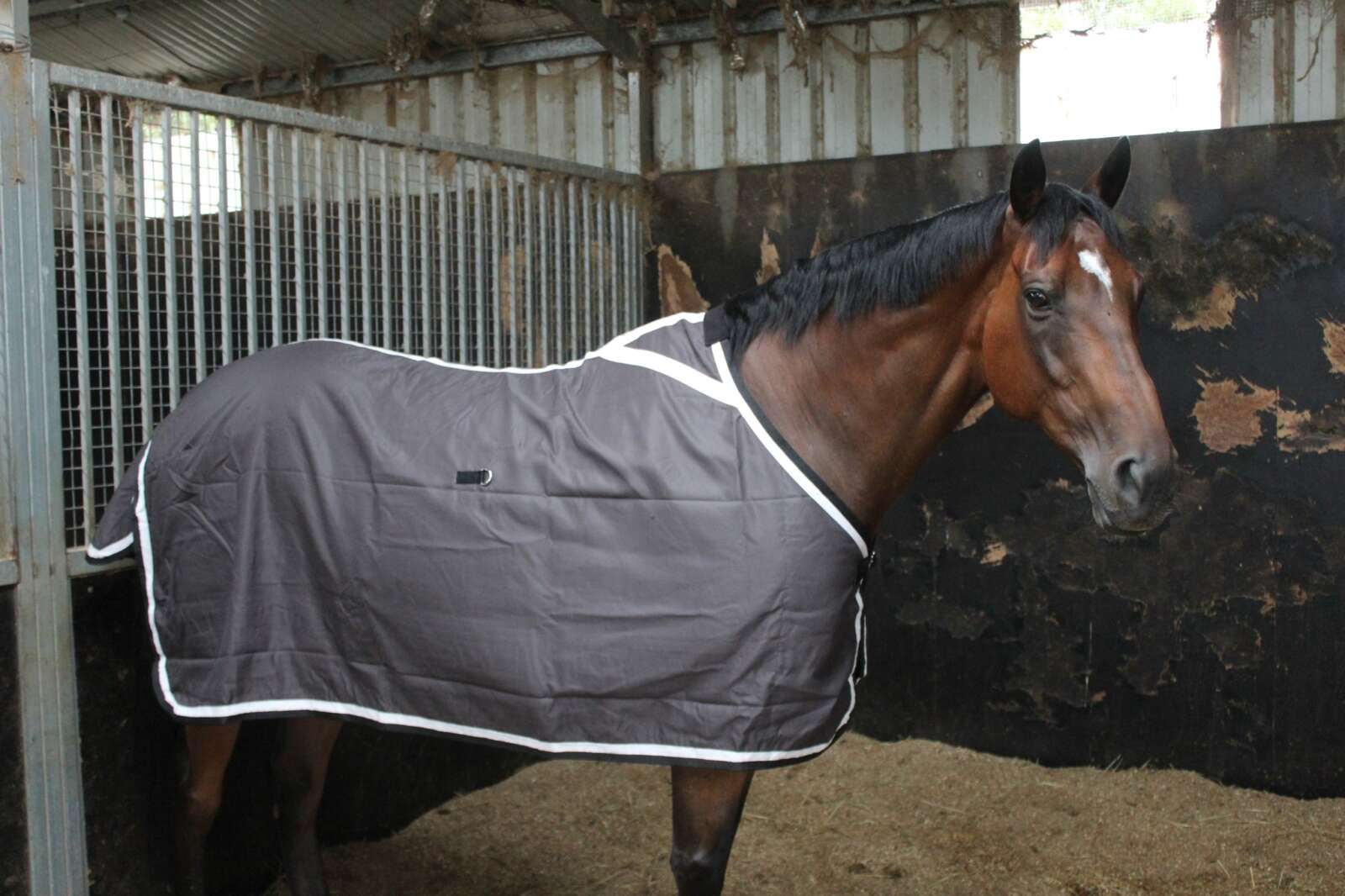 Cotton Drill Rug – Charcoal – 4’6-7’0