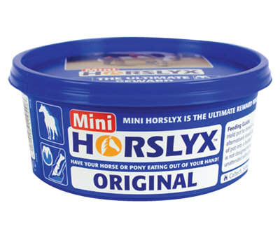 Horslyx Original Mini Vitamin & Mineral Lick – 650g