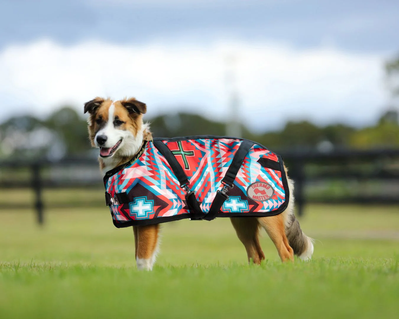 Thermo Master Supreme Dog Coat – Aztec