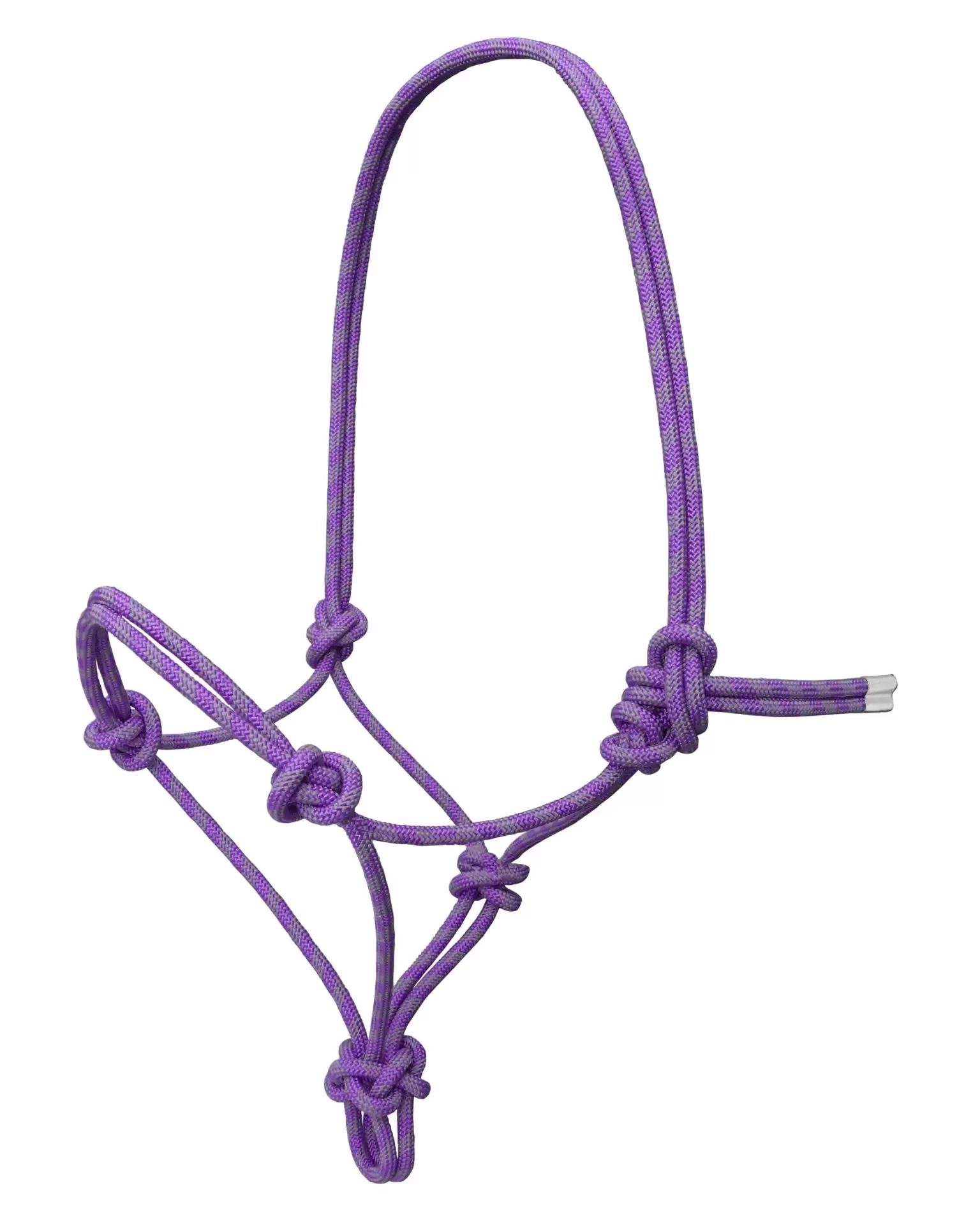 Hard Core Rope Halter- Purple/Grey