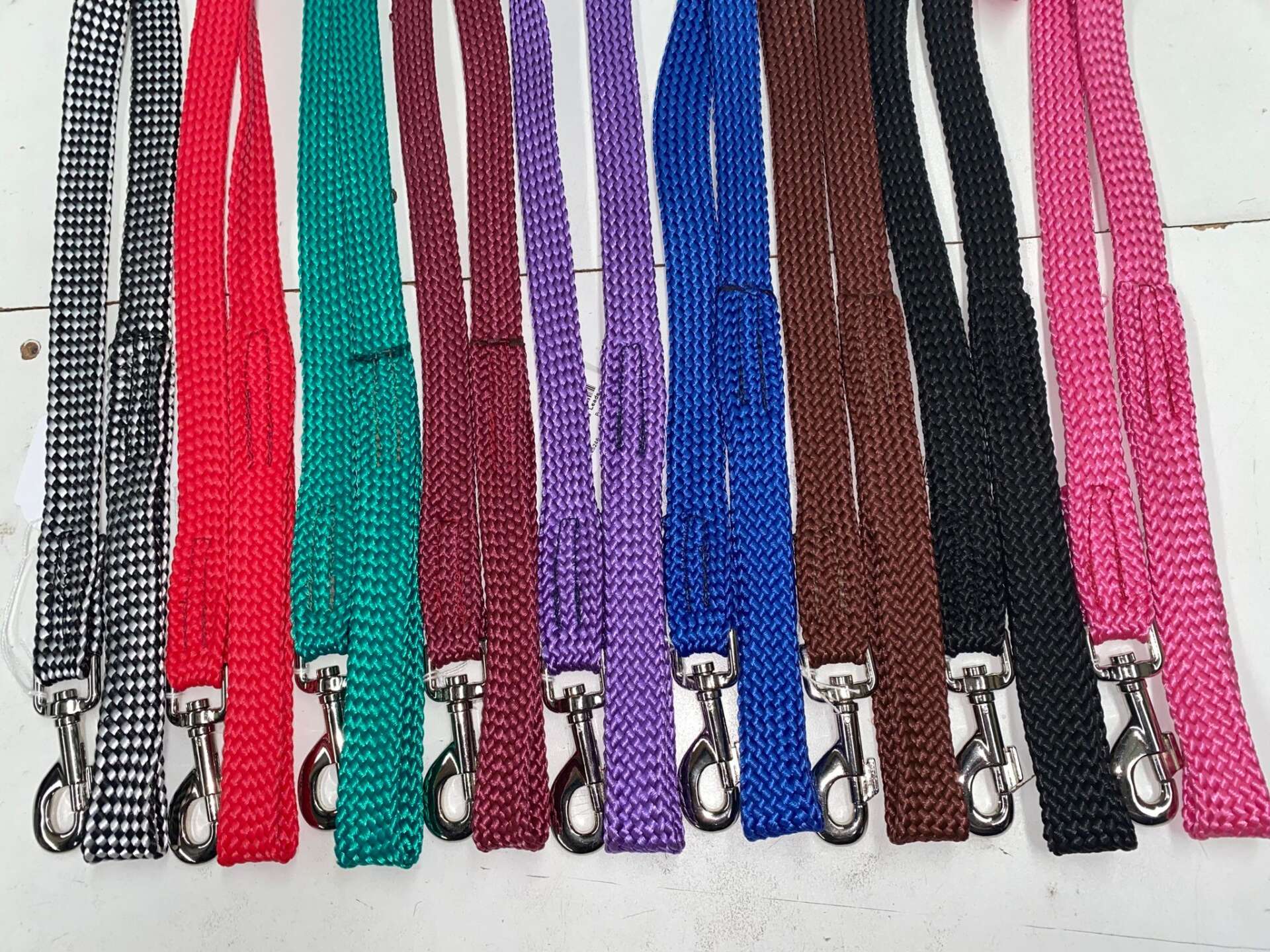 Webbing Dog Lead – Assorted Colours