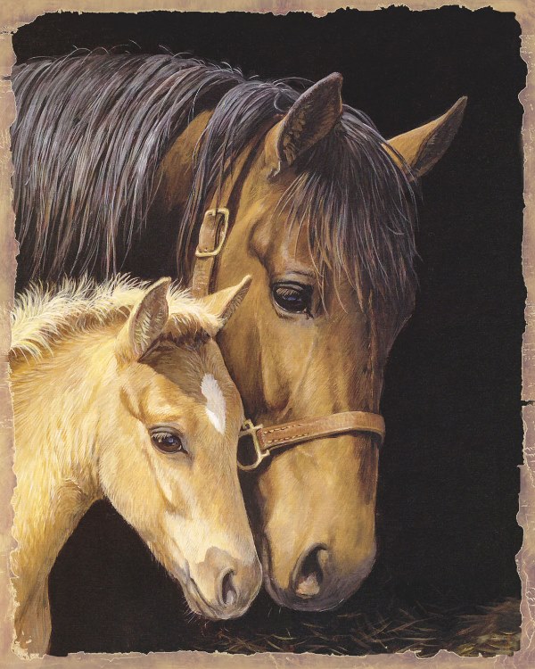 Printed Plaque, Horse & Foal 25cm X 20cm