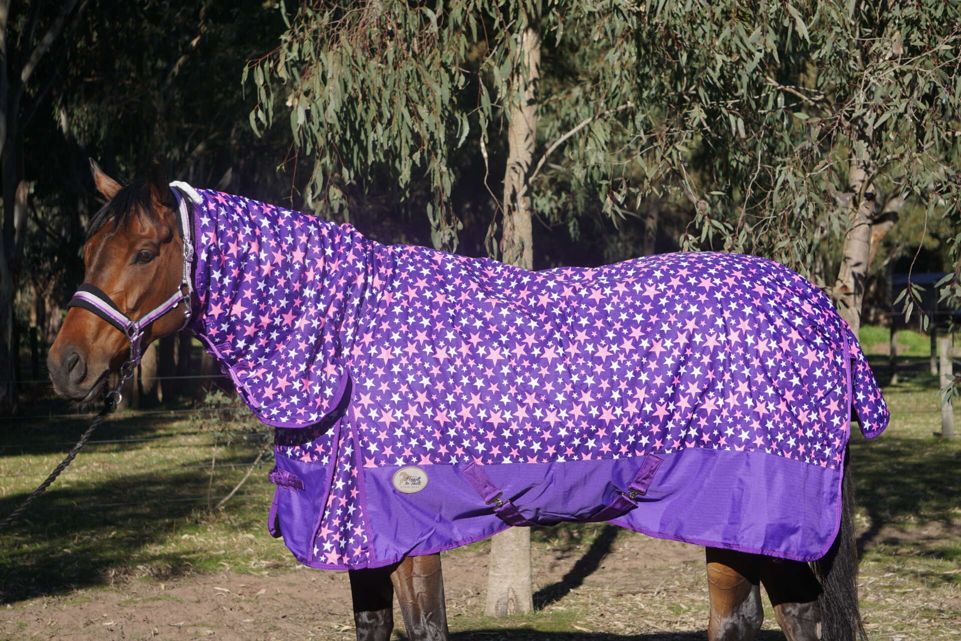 600D Purple/Pink Star Combo- Mini & Horse Sizes