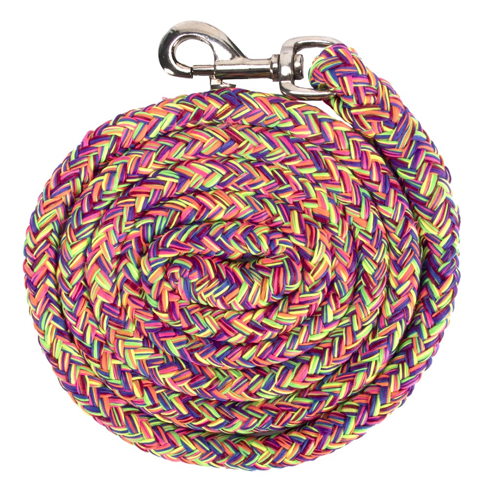 Polyester Lead Rope – 8′ Rainbow