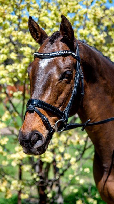 FLEXIBLE FIT PATENT MID THIN CRYSTAL WAVE SNAFFLE BRIDLE