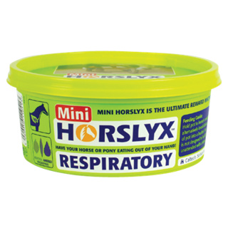 Horslyx Respiratory Mini Vitamin & Mineral Lick – 650g