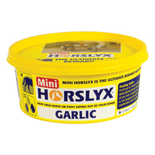 Horslyx Garlic Mini Vitamin & Mineral Lick – 650g