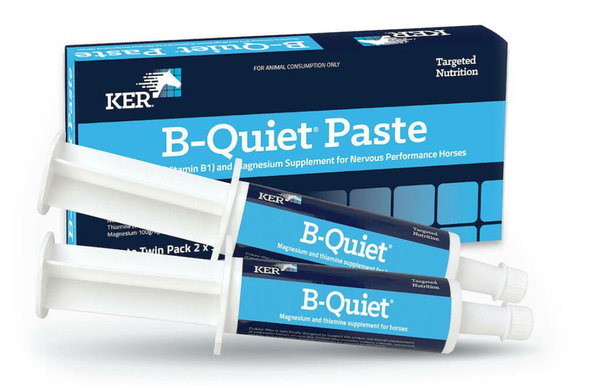 KER B-Quiet Paste Twin Pack