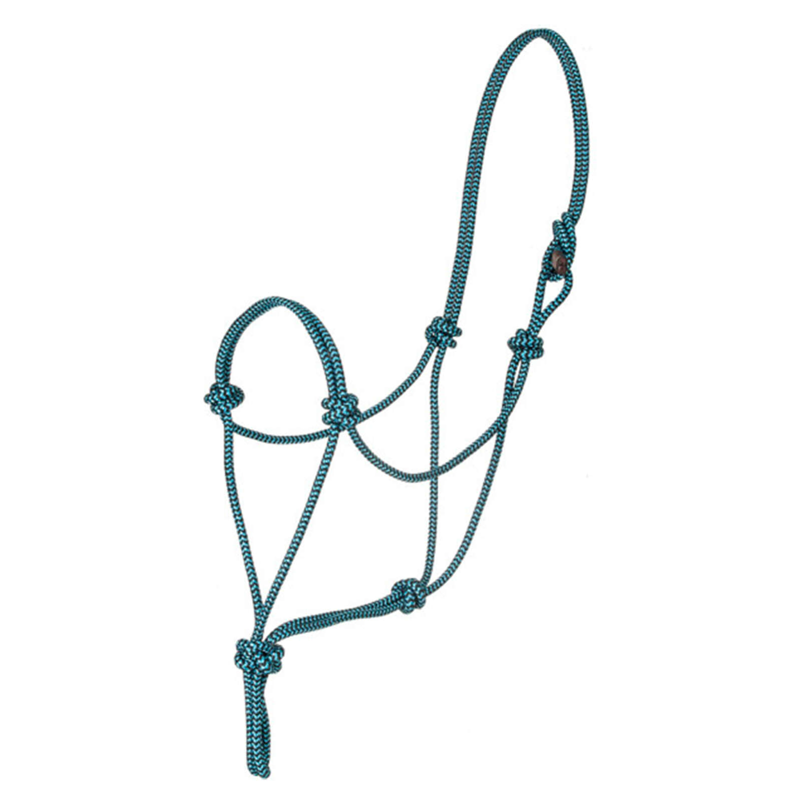 Ezy Ride Premium Nylon Rope Halter – Turquoise/Black