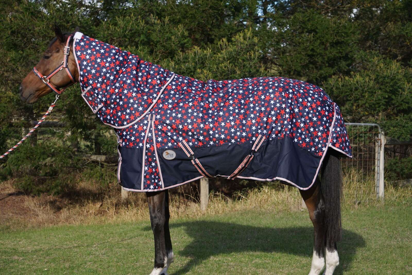 Heads To Tails~ Starry Nights Winter Neck Rugs