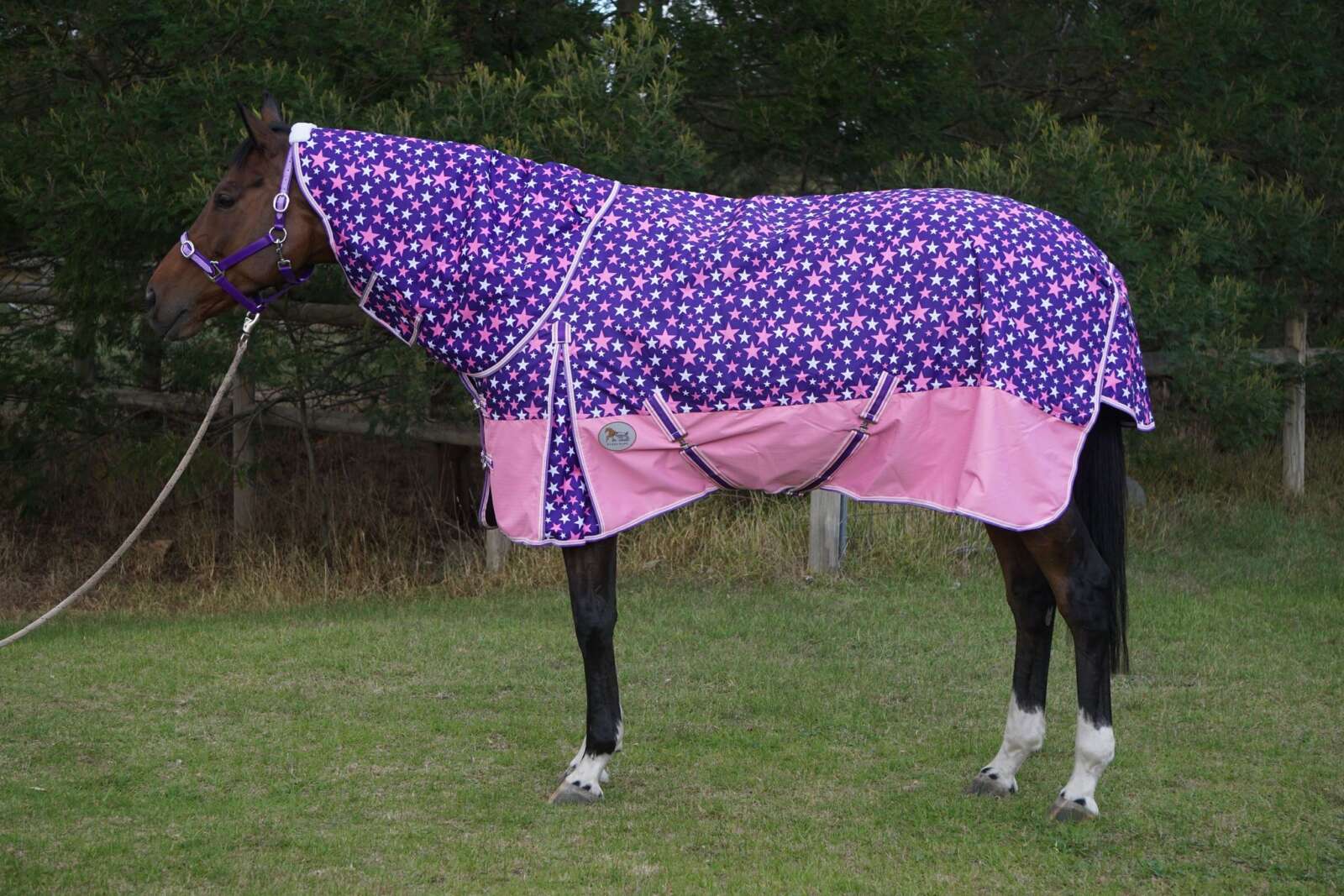 Heads To Tails~ Stardust Pink Winter Neck Rugs