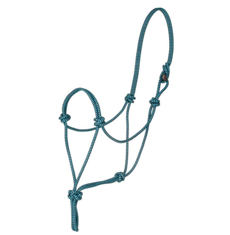 Ezy Ride Premium Nylon Rope Halter-Turquoise/black